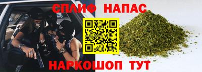 гидропоника Камышлов