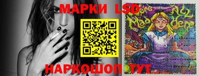 гидропоника Камышлов