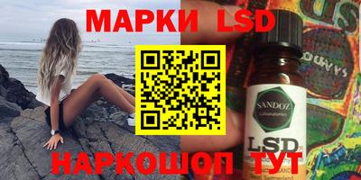 гидропоника Камышлов