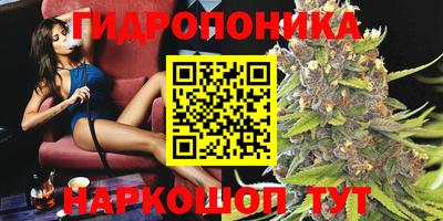 гидропоника Камышлов