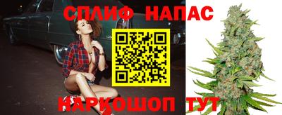 дмт Кандалакша