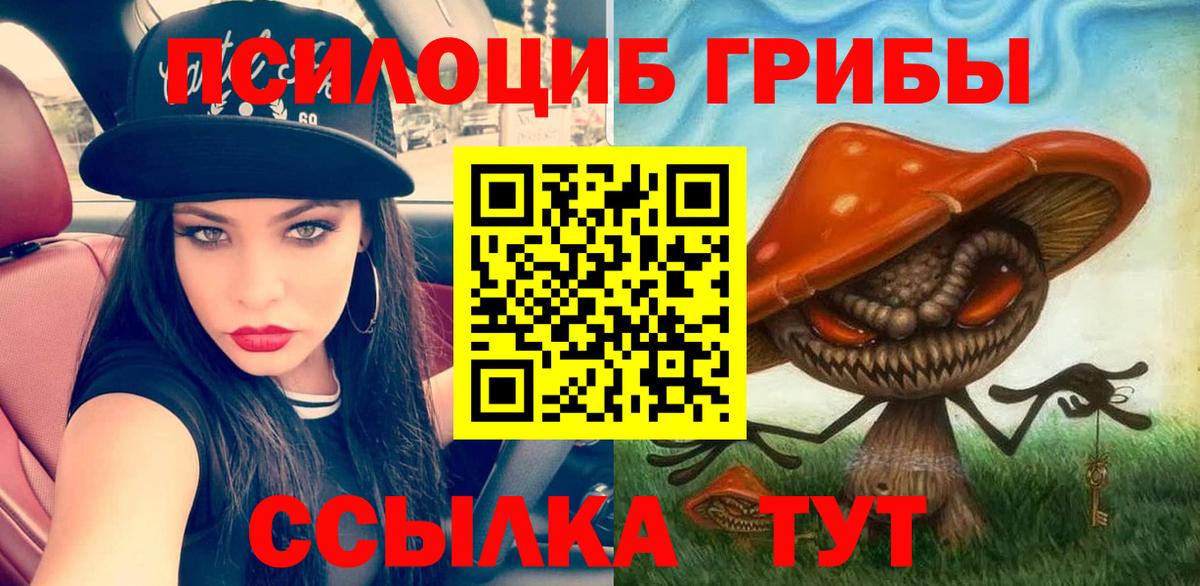 Псилоцибиновые грибы GOLDEN TEACHER  Вход с VPN  Юрга  Галлюциногенные грибы мухоморы 