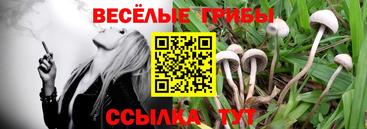Галлюциногенные грибы ЛСД Юрга